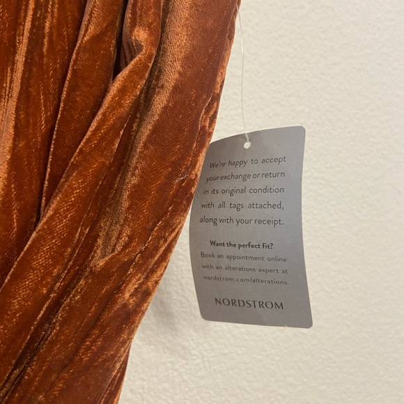 WAYF Velvet High-Waisted pant rust colored Trouser Pant XS - Picture 10 of 16